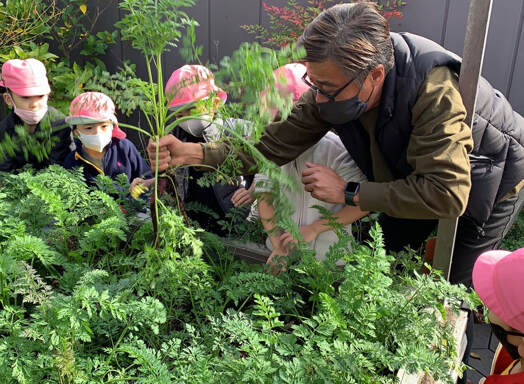 子ども農園（おもはらの森）