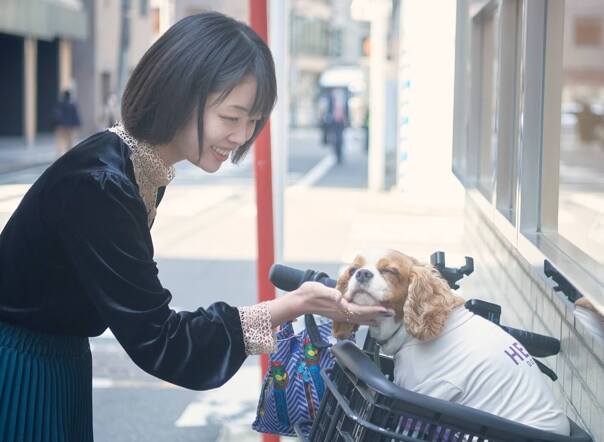 宮崎真由子